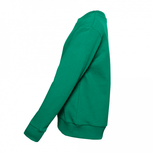 Толстовка  Зелёный с логотипом  заказать по выгодной цене в кибермаркете AvroraStore