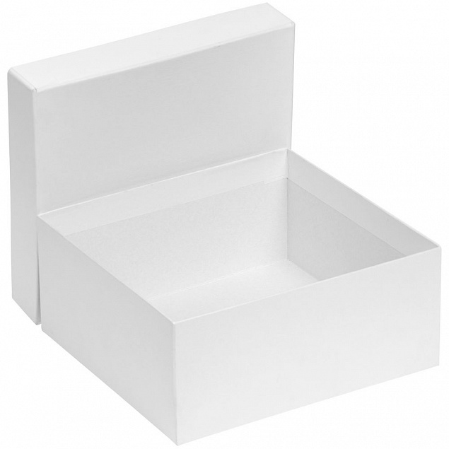 Коробка Satin, большая, белая с логотипом  заказать по выгодной цене в кибермаркете AvroraStore