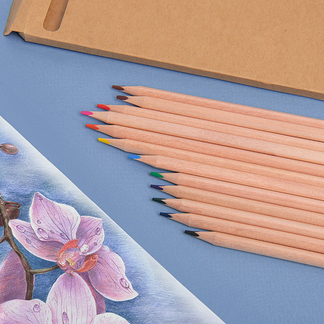 Набор цветных карандашей KINDERLINE middlel,12 цветов, дерево, картон с логотипом  заказать по выгодной цене в кибермаркете AvroraStore