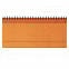 Планинг VELVET, датированный (2020 г.), оранжевый с логотипом  заказать по выгодной цене в кибермаркете AvroraStore