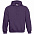 Толстовка Hooded, фиолетовая с логотипом  заказать по выгодной цене в кибермаркете AvroraStore
