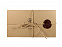 Чехол-бампер для iPhone 7, орех с логотипом  заказать по выгодной цене в кибермаркете AvroraStore