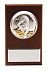 Плакетка малая «Тигр на монетах» с возможностью персонализации с логотипом  заказать по выгодной цене в кибермаркете AvroraStore