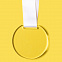 Медаль GLORY в подарочной упаковке, 70х66х5 мм, акрил с логотипом  заказать по выгодной цене в кибермаркете AvroraStore