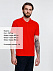 Рубашка поло мужская Adam, красная с логотипом  заказать по выгодной цене в кибермаркете AvroraStore
