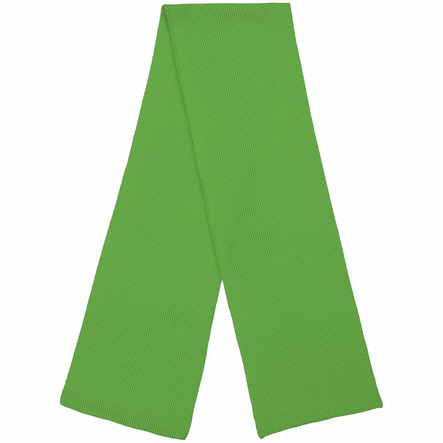 Шарф Life Explorer, зеленый с логотипом  заказать по выгодной цене в кибермаркете AvroraStore