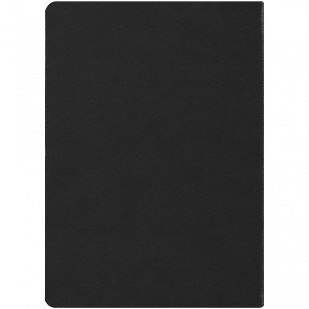 Ежедневник «По высшему разряду», недатированный, черный с логотипом  заказать по выгодной цене в кибермаркете AvroraStore