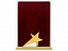 Награда Galaxy с логотипом  заказать по выгодной цене в кибермаркете AvroraStore