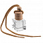 Ароматизатор воздуха Flava Ice, ментол с логотипом  заказать по выгодной цене в кибермаркете AvroraStore