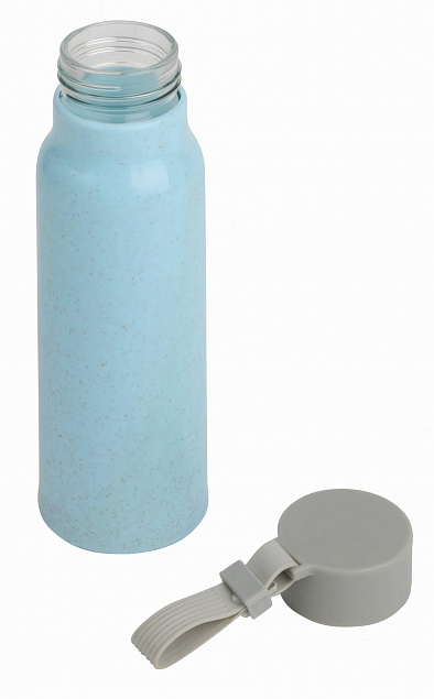 Стеклянная бутылка TAKE JUTY, природа с логотипом  заказать по выгодной цене в кибермаркете AvroraStore