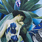 Футболка женская Beauty Sleep, ярко-синяя (royal) с логотипом  заказать по выгодной цене в кибермаркете AvroraStore