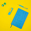 Набор COLORSPRING: аккумулятор, ручка, бизнес-блокнот, коробка со стружкой, голубой/желтый с логотипом  заказать по выгодной цене в кибермаркете AvroraStore