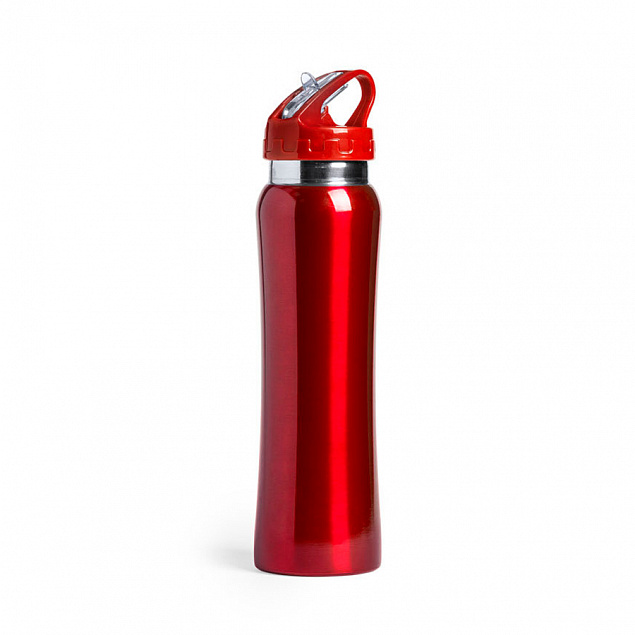 Бутылка для воды SMALY с трубочкой, нержавеющая сталь с логотипом  заказать по выгодной цене в кибермаркете AvroraStore