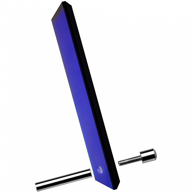 Награда Profi, синяя с логотипом  заказать по выгодной цене в кибермаркете AvroraStore