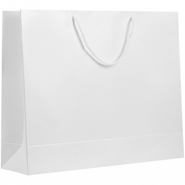 Пакет бумажный «Блеск», большой, белый с логотипом  заказать по выгодной цене в кибермаркете AvroraStore