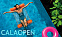 'Надувной гамак CALAOPEN' с логотипом  заказать по выгодной цене в кибермаркете AvroraStore