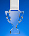 Награда Cup Medal с логотипом  заказать по выгодной цене в кибермаркете AvroraStore