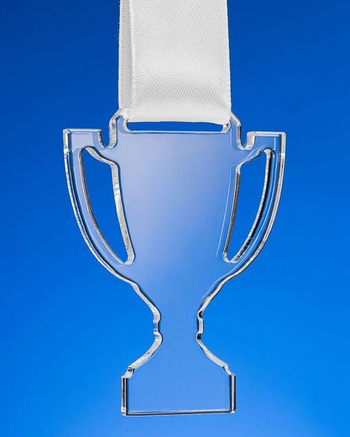 Награда Cup Medal с логотипом  заказать по выгодной цене в кибермаркете AvroraStore