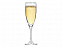 Бокал для шампанского «Flute» с логотипом  заказать по выгодной цене в кибермаркете AvroraStore