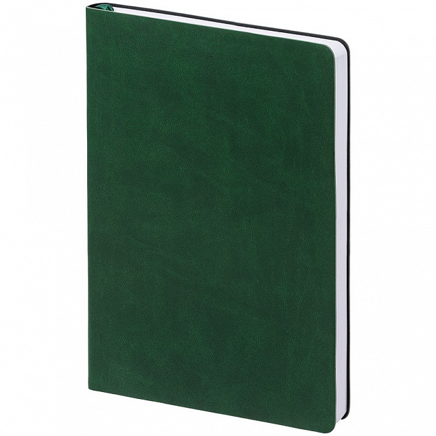 Ежедневник Romano, недатированный, зеленый с логотипом  заказать по выгодной цене в кибермаркете AvroraStore