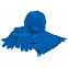 Набор "Зима" (шапка, шарф, перчатки), синий с логотипом  заказать по выгодной цене в кибермаркете AvroraStore