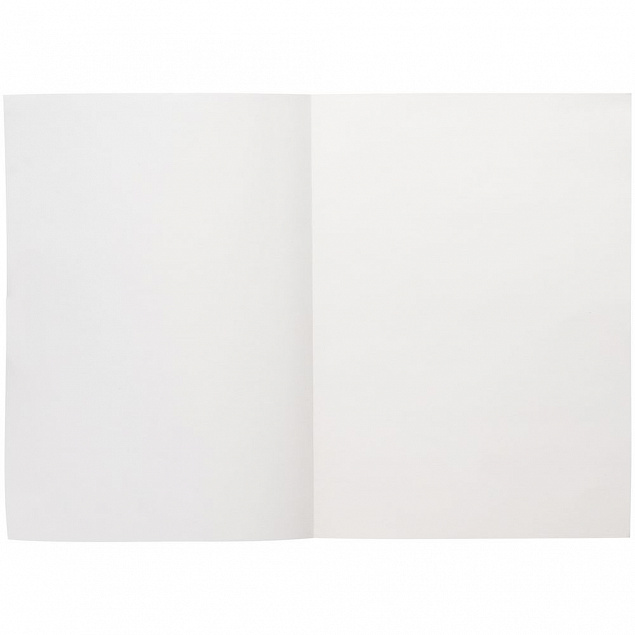 Ежедневник Flat Light, недатированный, серый с логотипом  заказать по выгодной цене в кибермаркете AvroraStore
