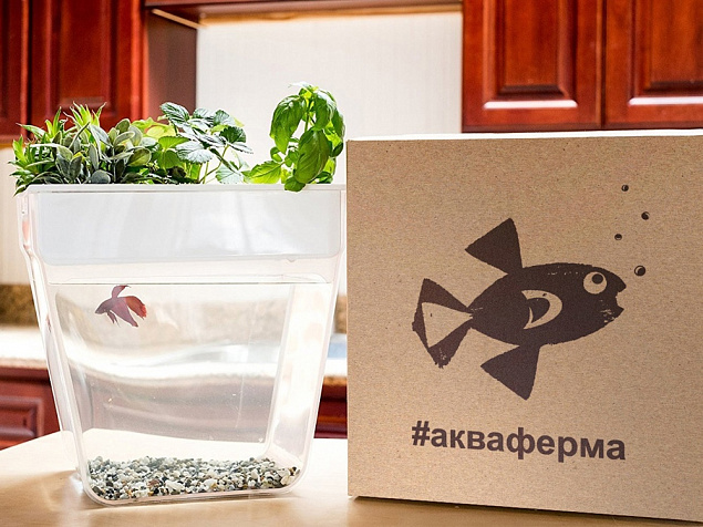Набор для выращивания растений и ухода за рыбкой Акваферма с логотипом  заказать по выгодной цене в кибермаркете AvroraStore