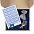 Набор для упаковки подарка Adorno, белый с бежевым с логотипом  заказать по выгодной цене в кибермаркете AvroraStore