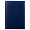 Ежедневник Birmingham, А5, датированный (2022 г.), синий с логотипом  заказать по выгодной цене в кибермаркете AvroraStore