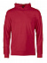Толстовка флисовая мужская Switch красная с логотипом  заказать по выгодной цене в кибермаркете AvroraStore
