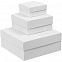 Коробка Emmet, большая, белая с логотипом  заказать по выгодной цене в кибермаркете AvroraStore