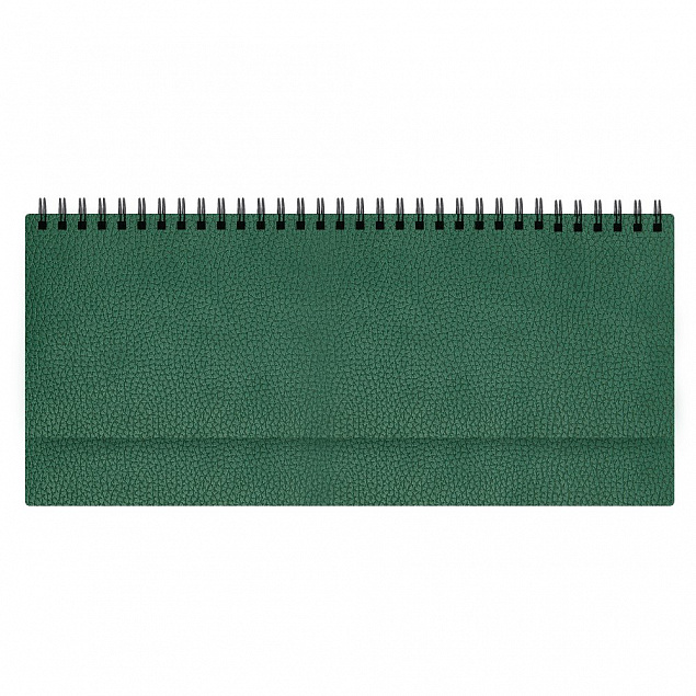 Планинг Dallas, датированный (2020 г.), зеленый с логотипом  заказать по выгодной цене в кибермаркете AvroraStore