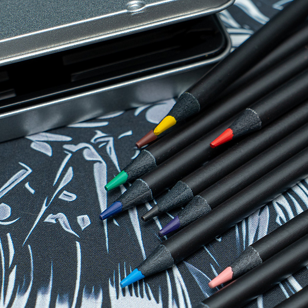 Набор цветных карандашей PROFESSIONAL, 12 цветов с логотипом  заказать по выгодной цене в кибермаркете AvroraStore