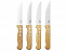 Ножи для стейка с логотипом  заказать по выгодной цене в кибермаркете AvroraStore