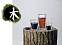 Набор стаканов Elements Wood с логотипом  заказать по выгодной цене в кибермаркете AvroraStore