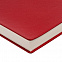 Ежедневник Chillout New, недатированный, красный с логотипом  заказать по выгодной цене в кибермаркете AvroraStore