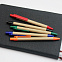 Шариковая ручка NATURAL BIO - Зеленый FF с логотипом  заказать по выгодной цене в кибермаркете AvroraStore