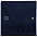 Шарф Graceful, синий с логотипом  заказать по выгодной цене в кибермаркете AvroraStore