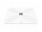 Умные диагностические весы с Wi-Fi Picooc S3 Lite White V2 (6924917717353), белый с логотипом  заказать по выгодной цене в кибермаркете AvroraStore