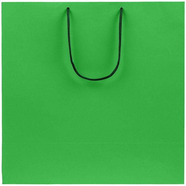 Пакет бумажный Porta, большой, зеленый с логотипом  заказать по выгодной цене в кибермаркете AvroraStore