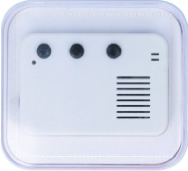 Bluetooth радиоприемник с логотипом  заказать по выгодной цене в кибермаркете AvroraStore