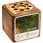 Набор для выращивания с органайзером «Экокуб Burn», сосна с логотипом  заказать по выгодной цене в кибермаркете AvroraStore