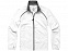 Куртка "Egmont" женская с логотипом  заказать по выгодной цене в кибермаркете AvroraStore