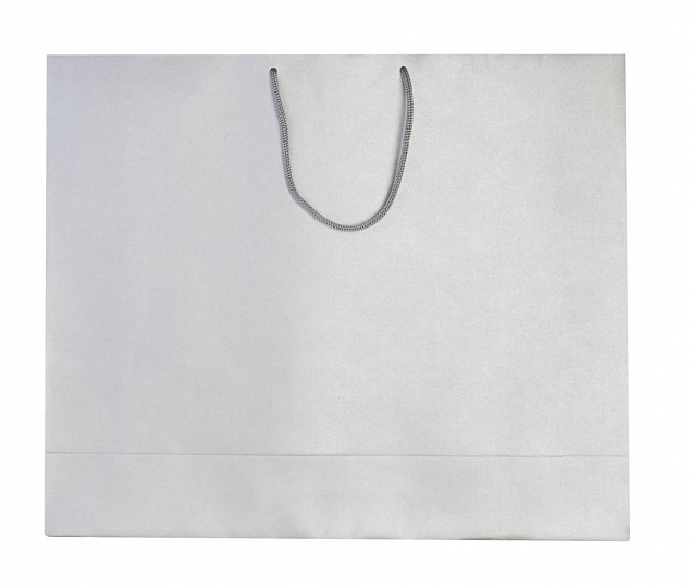 Пакет бумажный «Блеск», большой, серебристый с логотипом  заказать по выгодной цене в кибермаркете AvroraStore