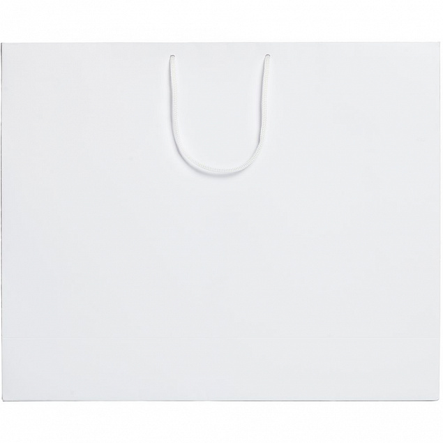 Пакет Ample L, белый с логотипом  заказать по выгодной цене в кибермаркете AvroraStore