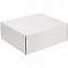 Коробка New Grande, белая с логотипом  заказать по выгодной цене в кибермаркете AvroraStore
