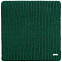Шарф Tommi, зеленый с логотипом  заказать по выгодной цене в кибермаркете AvroraStore