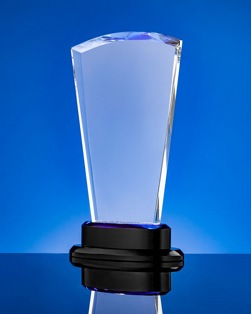 Награда Ace с логотипом  заказать по выгодной цене в кибермаркете AvroraStore