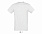 Фуфайка (футболка) REGENT мужская,Красный XXS с логотипом  заказать по выгодной цене в кибермаркете AvroraStore