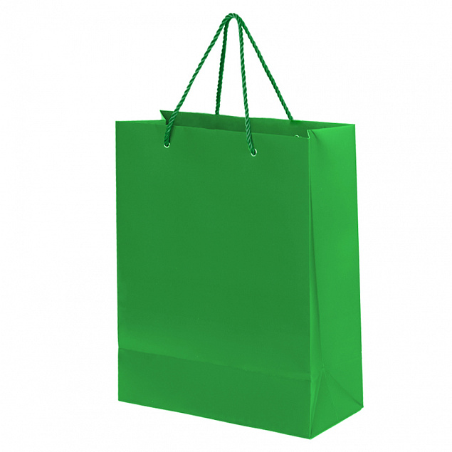 Пакет подарочный BIG GLAM с логотипом  заказать по выгодной цене в кибермаркете AvroraStore